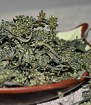 Ginseng Tea