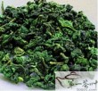 Tieguanyin