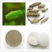 Natural Spongilla Powder for Anti-Acne, Impotence,