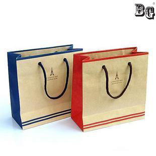 designer craft paper bag