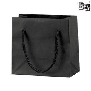 plain paper bags