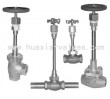 Cryogenic Globe Valve