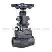 threaded forged Globe valve