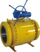 Trunnion Ball Valve