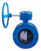 Butterfly valve (AWWA C504)