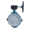 Fluoroplastic Lined Butterfly Valve