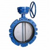 lug butterfly valve