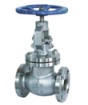 ANSI Globe Valve