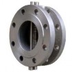 Dual Plate Check Valve