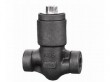 Pressure seal swing check valve (900LB-2500LB)