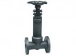 Bellows seal gate valve