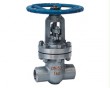 Cast Steel Butt-welding gate Valve 