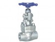Forged gate valve (for special applications)