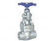 Forged gate valve (for special applications)