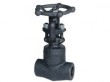 Forged gate valve 900LB-1500LB