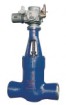 High pressure power station gate valve   