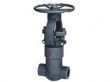 Pressure seal gate valve( 900LB--2500LB)