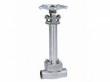 Cryogenic globe valve