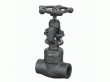 Forged globe valve