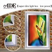 LED slim light box with low power