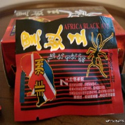 Africa Black Ant King Sex Capsule