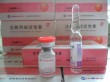 HCG 5000iu powder for injection