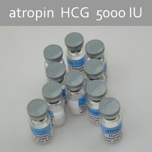 HCG Weight Loss