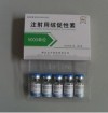 Human Chorionic Gonadotropin for injection