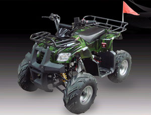 SK110 ATV Quads-6