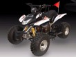 SK110 ATV Quads-4