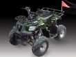 SK110 ATV Quads-6