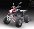 SK250 ATV Quads-1E