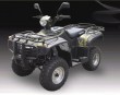 SK250 ATV Quads-2AE