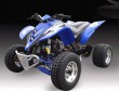 SK250 ATV Quads-5