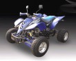 SK250 ATV Quads-5E