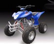SK250 ATV Quads-1L