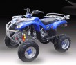 SK250 ATV Quads-2LH