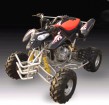 SK250 ATV Quads-3