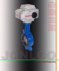 Electric Butterfly Valve