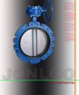 Lug Type Butterfly Valve