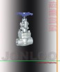 Forged Steel Gate Valve