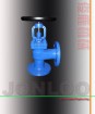 Angle Globe Valve