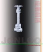 Cryogenic Globe Valve