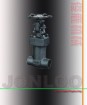 Forged Bellow Seal Globe Valve