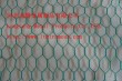 Hexagonal Wire  Mesh