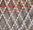 razor barbed wire mesh