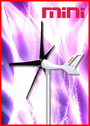 NEWSKY 300W MPPT Mini Wind Turbine Generator