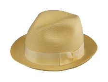 Fashion Hat KV-F206