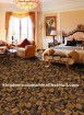 Luxurious Tufted Carpet