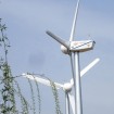 Hummer 50KW Wind Turbine Manufacturer